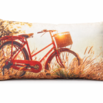 Cushion Bicycle