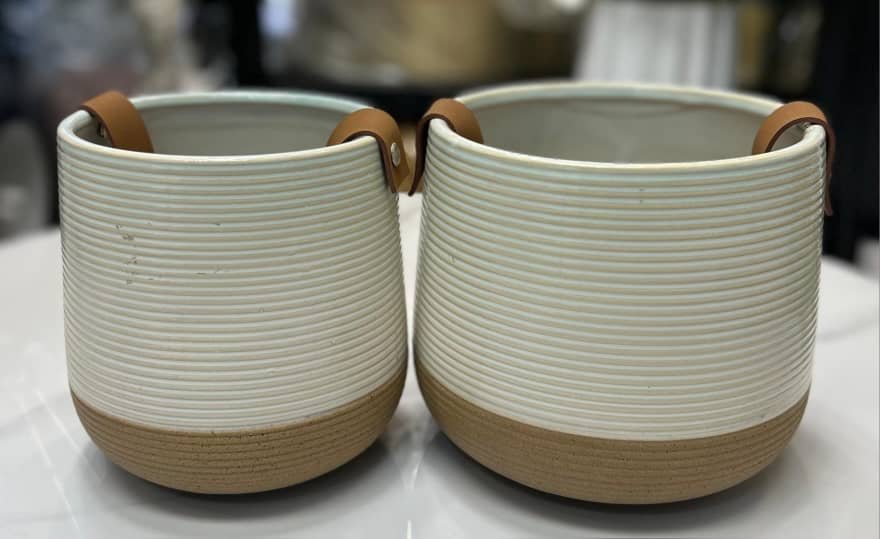 IMG-20260117-WA0051 Ceramic plant – Image 1