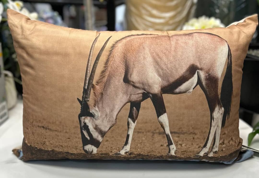 WhatsApp Image 2026-01-17 at 16.33.24 Cushion – Image 1