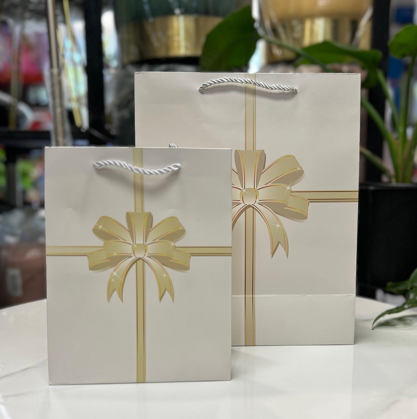 WhatsApp Image 2026-01-24 at 12.59.09 (1) Gift Bag – Image 1