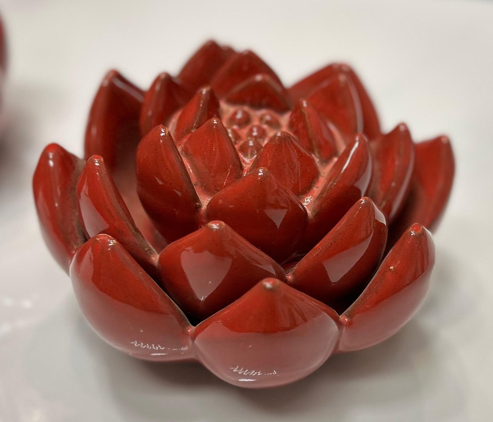 WhatsApp Image 2026-01-27 at 21.30.03 Ceramic ST cactus – Image 1