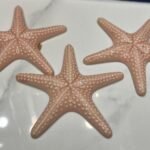 Ceramic Starfish