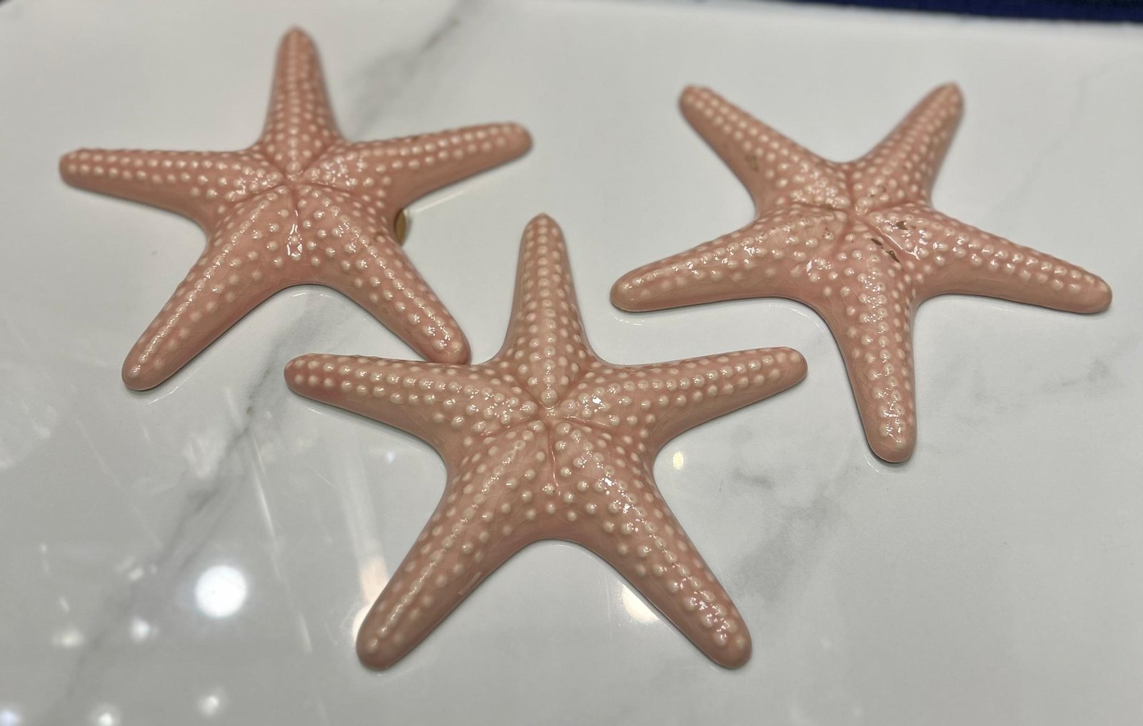 WhatsApp Image 2026-01-27 at 21.30.05 (1) Ceramic Starfish – Image 1