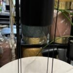 Pot Plant Standing Black