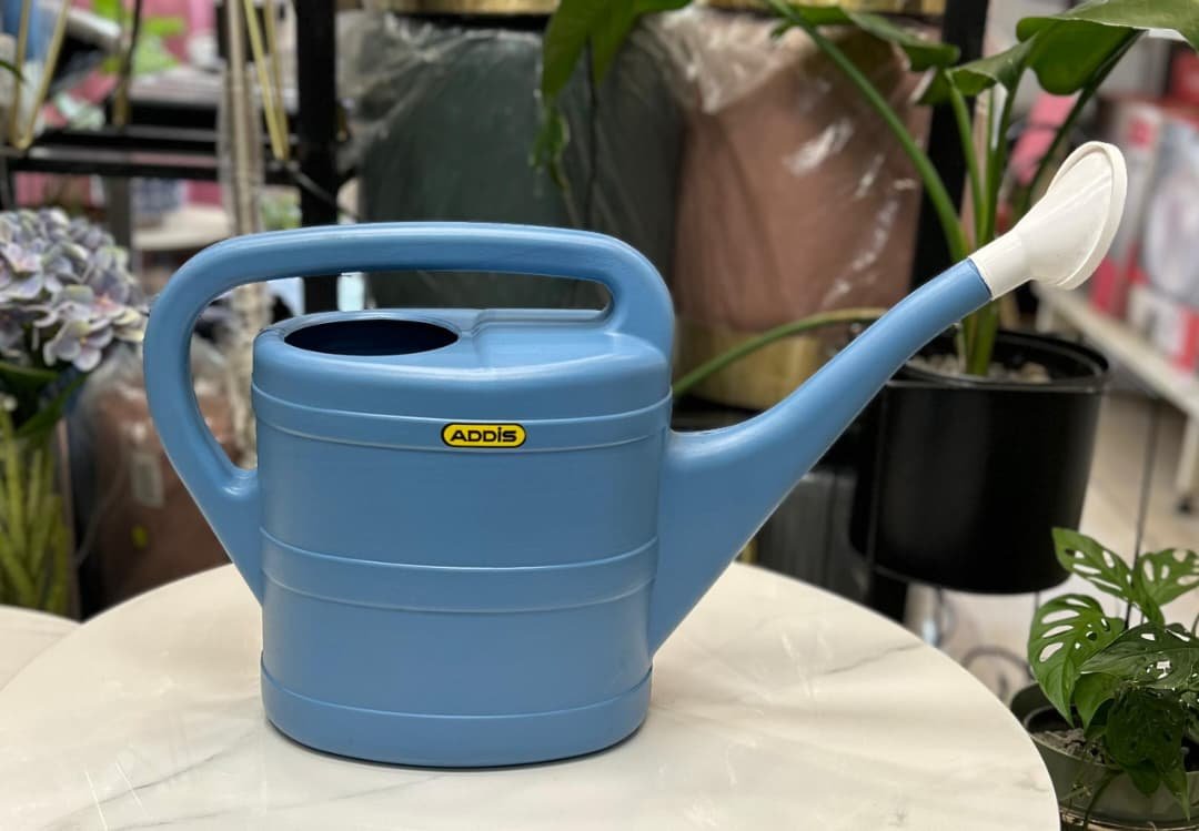 WhatsApp Image 2026-01-28 at 12.33.32 Watering Addis – Image 1