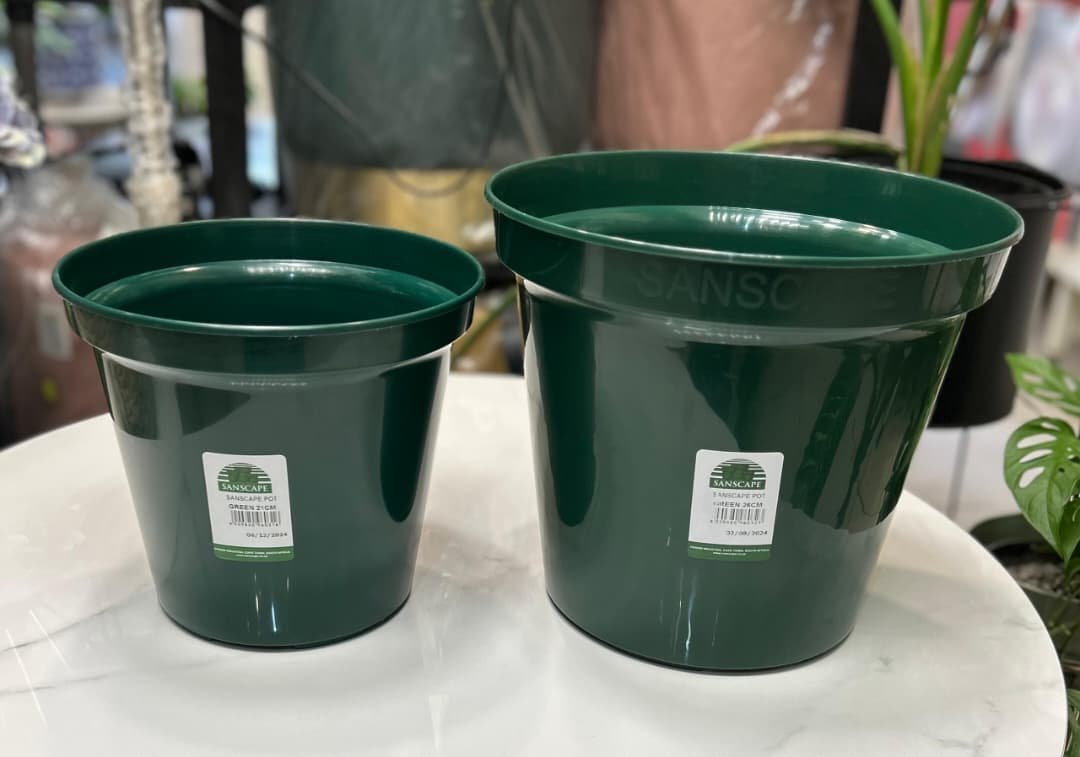 WhatsApp Image 2026-01-28 at 12.33.43 Pot Sanscape Green – Image 1