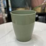 Pot IJI Orchid Eucalyptus