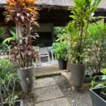 Entrance: Foulard Red and Green decoration on big pots
