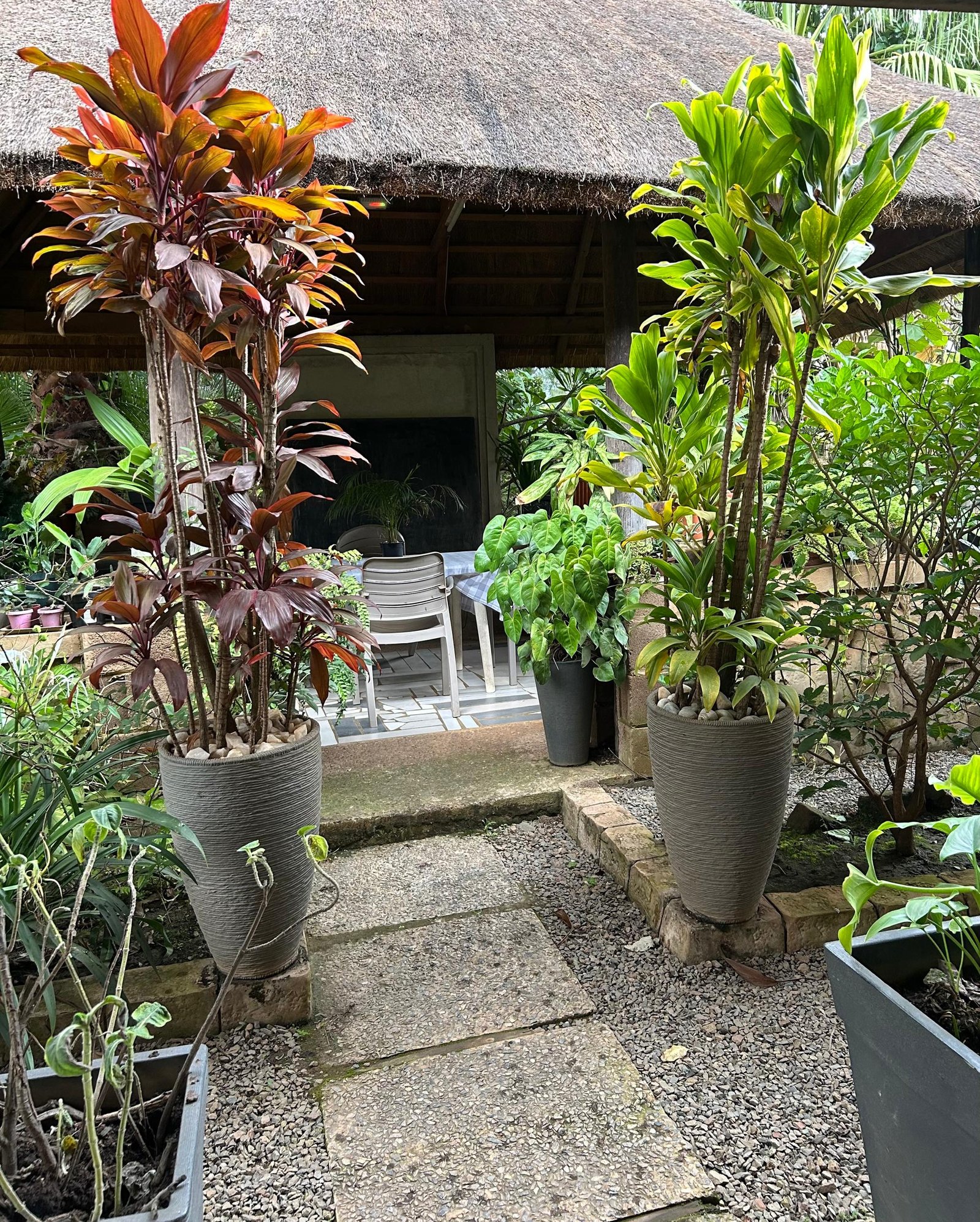 25 Entrance: Foulard Red and Green decoration on big pots – Image 1