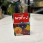 Mayford Pansy Gesiggie Dream Giants