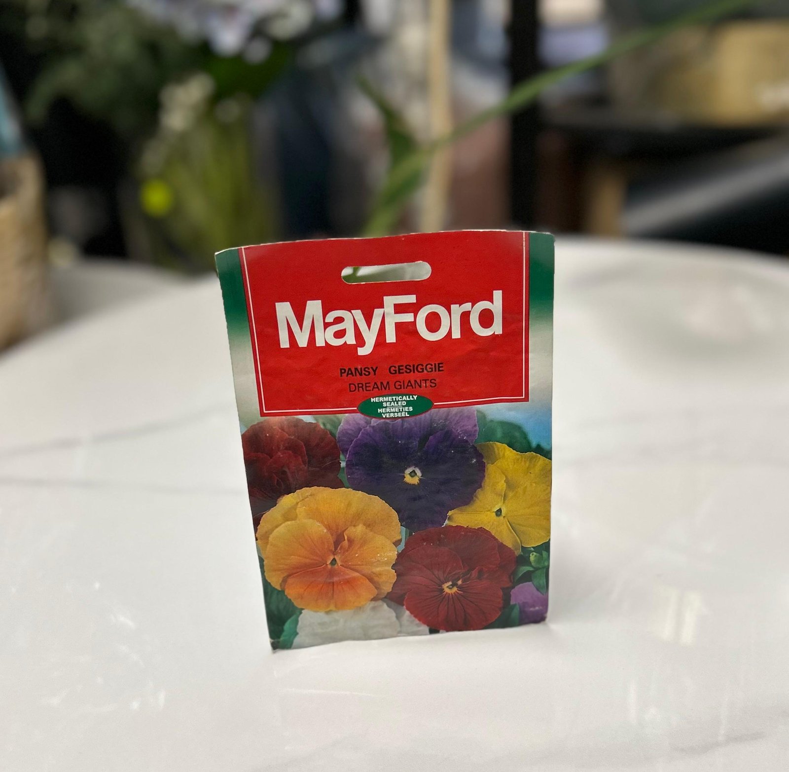 R1 Mayford Pansy Gesiggie Dream Giants – Image 1