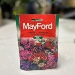 Mayford Verbena Ysterkruid Showtime Mixed