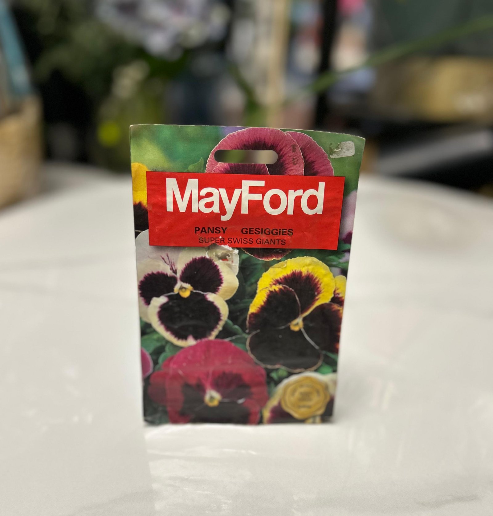 R3 Mayford Pansy Gesiggies Super Swiss Giants – Image 1