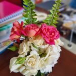 Rosiers Nonygra 70cm