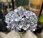 Blue Hydrangea Stem 60cm
