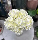 Cream Hydrangea stem 60cm – Image 2