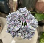 Blue Hydrangea Stem 60cm – Image 2