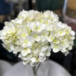 Cream Hydrangea stem 60cm