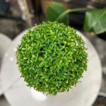 Green Teagrass Ball 25cm