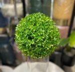 Green Teagrass Ball 25cm – Image 2