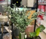 Eucalyptus Brach 76cm – Image 2