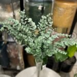 Eucalyptus Brach 76cm