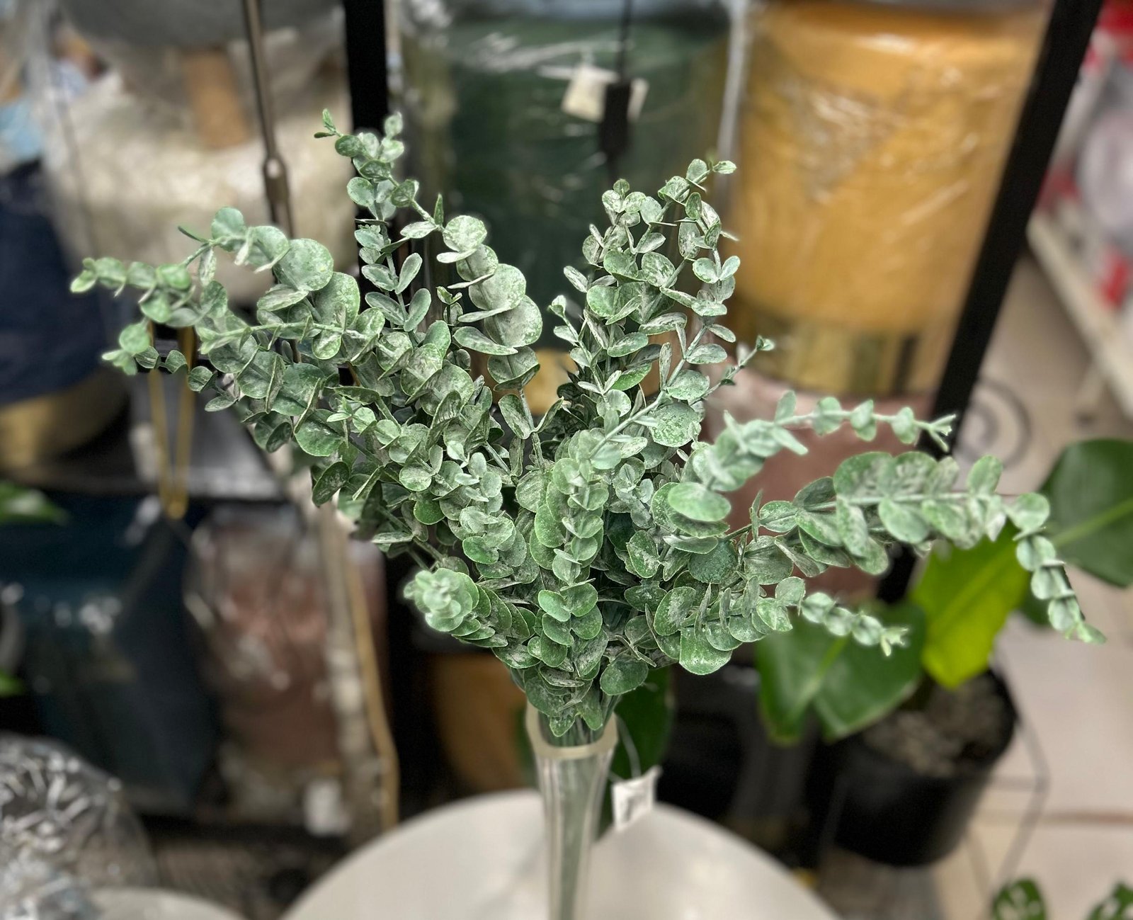 WhatsApp Image 2026-02-09 at 11.21.48 (8) Eucalyptus Brach 76cm – Image 1