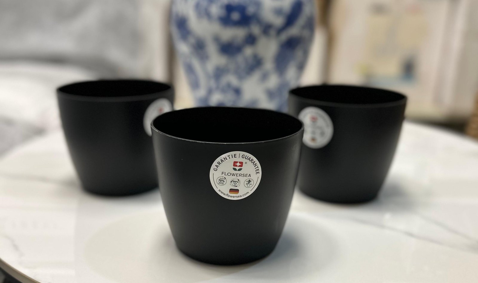 WhatsApp Image 2026-02-11 at 13.22.34 (7) Flowersea Viola 5.1inch 13*11,5cm Black/Green – Image 1