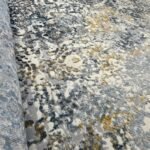 Arizona AR Rug 280*200cm